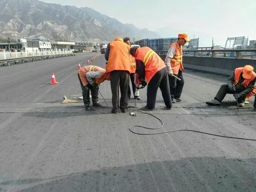 临武道路桥梁病害治理